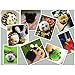 Stark Pompom Pom-pom Maker 4 Different Sizes for Fluff Ball Weaver Needle Craft DIY Wool Knitting Tool Set Decoration