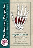The Anatomy Companion: Muscles of the Upper and Lower Extremities (The Anatomy Companion Series) (Volume 1) by Sean de Lima, Dr. P B McBride