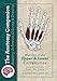 The Anatomy Companion: Muscles of the Upper and Lower Extremities (The Anatomy Companion Series) (Volume 1) by Sean de Lima, Dr. P B McBride
