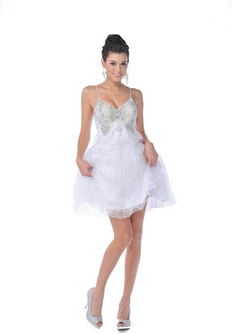 cinderella dress short