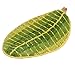 ONEONEY Green Leaf Shaped Oval Bathmat Living Room Carpet Bedroom Rug Washable Rugs Home Decorator Floor Rug and Carpets (17.7