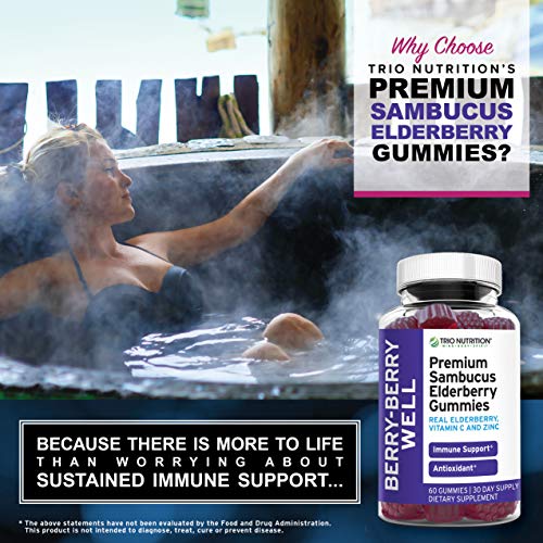 Premium Fresh Elderberry Gummies | Fresh Pectin, Zinc & Vitamin C | Big Immune System Booster - Real Black Elderberries, NO Gelatin, NO Fructose, Gluten Free | Immune Support & Berry Delicious* (2)