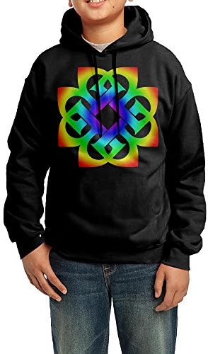 15GDBCOOD Boys Girls Kids Breaking Benjamin Logo Hoodie Black Cotton Hoodie
