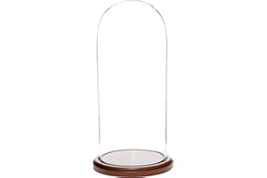 Plymor 5.5 inch x 13 inch Glass Display Dome Cloche (Dark Wood Base)