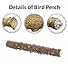 MwaBaiTx Natural Parrot Perch Set, Bird Chewing Toys Bird Perch Bird Stand Bird Cage Accessories (Type 3)thumb 3