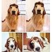 Coolrunner Pet Wigs Funny for Dogs Cats Little Puppy Costume Adorable Pet Hair and Turned Hat (1)