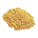 Food to Live Yellow Mustard Seeds (5 Pounds)
