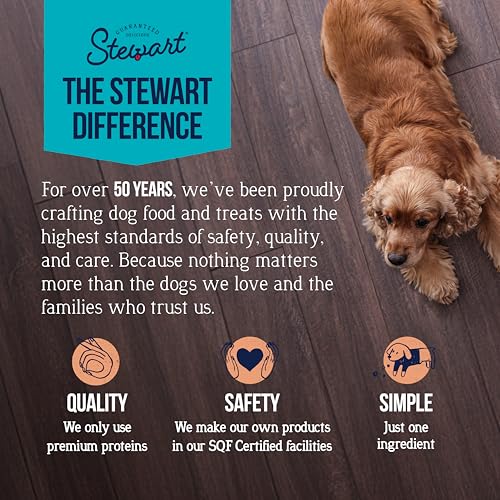 STEWART WILD SALMON DOG TREATS, 2.75 OZ, ~55 PIECES, FREEZE DRIED RAW, SINGLE INGREDIENT, 65% PROTEIN TRAINING TREATS OR MEAL TOPPER IN A RESEALABLE POUCH, GRAIN FREE, GLUTEN FREE