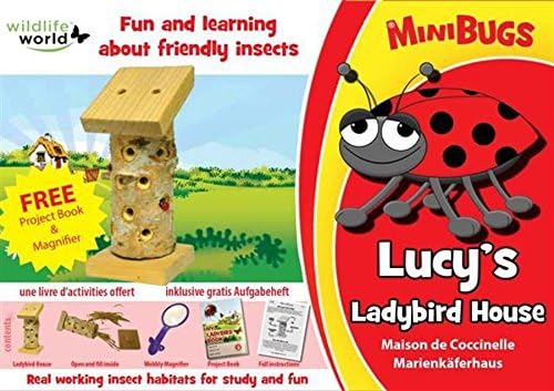 Mini Bug House, in Ladybug