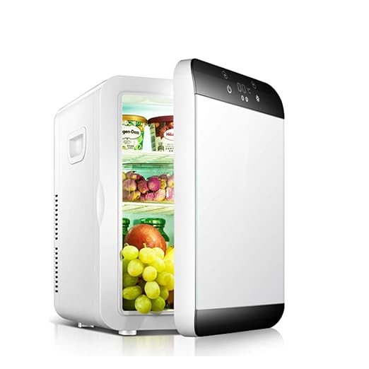 Compra WYMESW Portátil Nevera Rigida, Enfriador Eléctrico&Calor ...