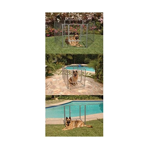 precision courtyard kennel