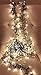 NEW! 12' Decorative Twinkle Cluster Lights, Warm White LED Bulbs with 50,000 Hour Life!! 8 Lighting Mood Scenes with a Click (Twinkle, Flash, Steady, Waves, Fade, More), Indoor/Outdoor, Year-Round Use