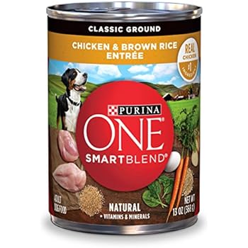 Amazon.com : Purina ONE SmartBlend Wet Dog Food, Classic