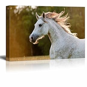 Canvas Prints Wall Art - Running White Arabian Horse | Modern Wall Decor/Home Art Stretched Gallery Wraps Giclee Print & Wood Framed. Ready to Hang - 12" x 18"