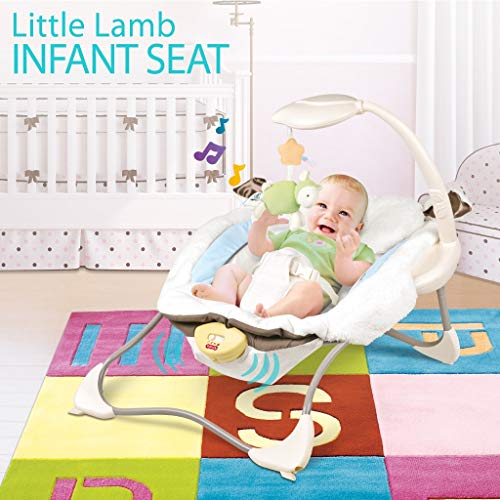Erwazi Baby Swing and Rocker, Baby Swing Baby Rocker Baby Bouncer Chairs for Infants
