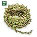 66 Feet Artificial Vine Fake Foliage Leaf Plant Garland Rustic Jungle Vines Wedding Home Decor primary