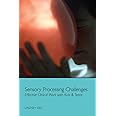 Sensory Processing Challenges: Effective Clinical Work with Kids & Teens (Norton Professional Book)