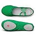 MSMAX Kids Canvas Ballet Shoes Women Ponite Dancing Flats Green 13 M US Little Kid