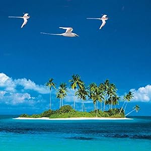 Dream Islands (171001)