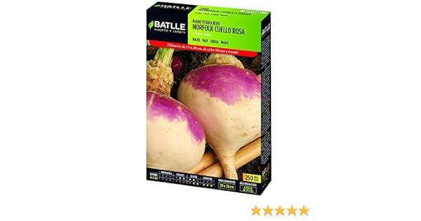 Semillas Batlle - Nabo Norfolk Cuello Rosa Caja 250G: Amazon.es ...