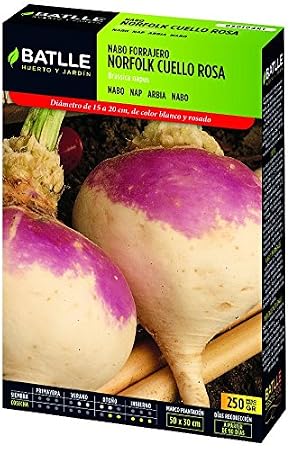 Semillas Batlle - Nabo Norfolk Cuello Rosa Caja 250G: Amazon.es ...