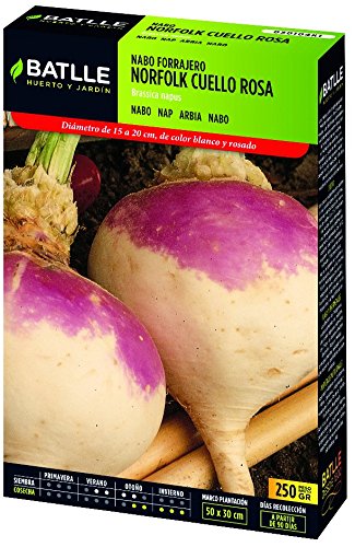 Semillas Batlle - Nabo Norfolk Cuello Rosa Caja 250G: Amazon.es ...