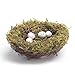 MomokoPeng Set of 2 Spring Bird Nests with Eggs，Twig Bird Nest Decorative Ornament with Clip(Green Bird's Nest)