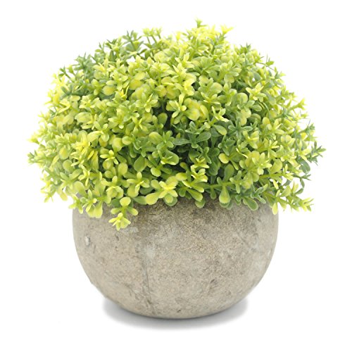 Velener Mini Plastic Artificial Pine Ball Topiary Plant with Pots for Home Decor (Green Clover)