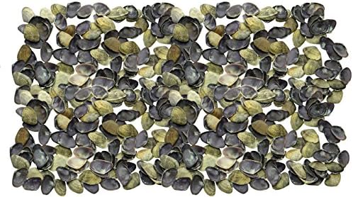 Seashell Crafts Supplies - Approx 420 pcs shells - Violet Mactra / Mactra Violacea (Purple, Thick) For Seashell Box, Seashell Frames, Seashell Mirror