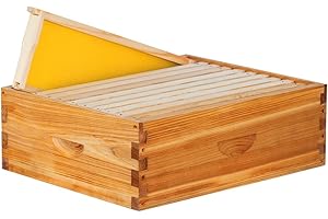 beeknows 10 Frame Medium Super Beehive Box Wax Coated Bee Hives Includes Beehive Frames and Waxed Foundations (Unassembled)
