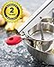 Top Rated Bellemain Stainless Steel Potato Ricer with 3 Interchangeable Fineness Discs-Full 2-Year Warranty