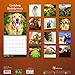 2017 Golden Retrievers Wall Calendar