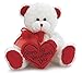 White & Red Happy Valentines Day Plush Teddy Bear Stuffed Animal Gift