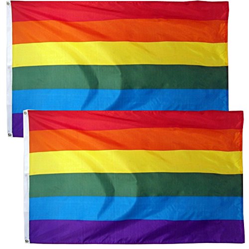 Lsika Z Gay Pride Banner Flags Lgbt Rainbow Flag 2 Pack 3 X 5 Foot