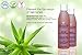 ÄKTA® Herbal Balancing Toner for Normal/Dry Skin 7 oz: Based on Nutrient Rich Organic Aloe- Antioxidants Nourish and Protect Skin-