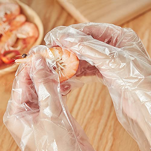 Individually Wrapped Disposable Food Prep Gloves 100 Pair / 200 Count