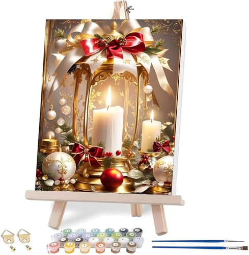 Paint by Number-25christmas-3