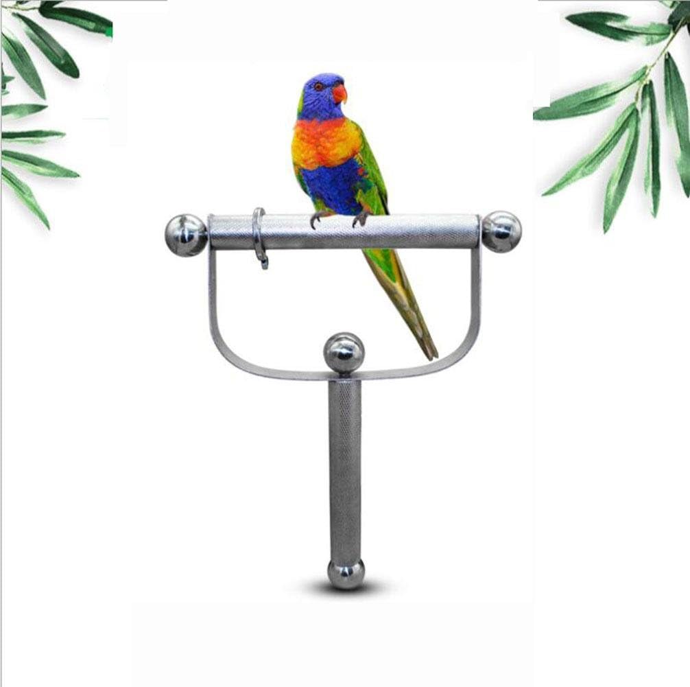 macaw stand