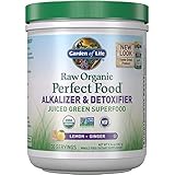 Garden of Life Raw Organic Perfect Food Alkalizer & Detoxifier 10.1oz (285g) Powder
