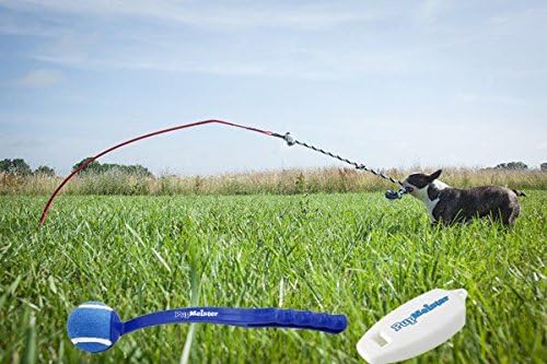 Tether Tug Interactive Knotted Dog Rope Pull Toy Small, Plus Pup Meister Ball Thrower and Clicker