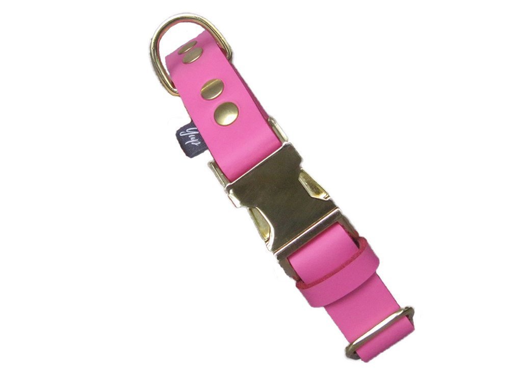 quick release dog collars
