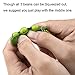 Fidget Toys, SnowCinda 5 PCS Squeeze-a-Bean Soybean Stress Relieving Keychain Mobile Chain Fidget, Green (Green - 5 Pcs)