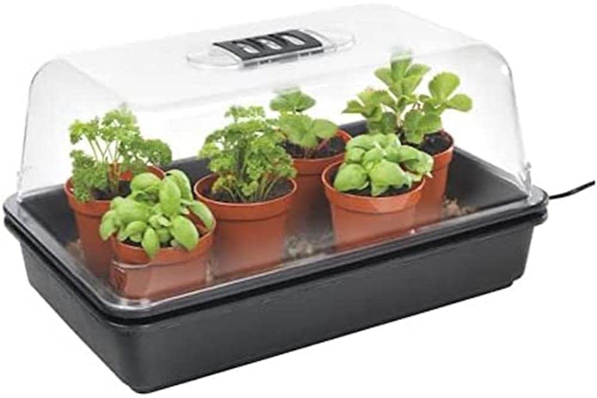 Stewart 12-550-060 Essentials Electric Propagator, 38 cm - Black