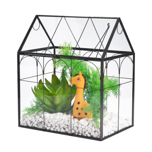View 1 of Window Garden Glass Terrarium with Lid - 9x11x6-Inch Indoor Greenhouse Plant Terrarium Decor Planter Dome - Terrarium Kit Tabletop Greenhouse - Plant Accessories Ideal Gift for Nature Lovers