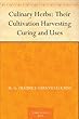 Culinary Herbs: Their Cultivation Harvesting Curing and Uses