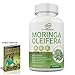 Organic Moringa Capsules, Herbal Powder Harvested Straight From Moringa Oleifera Tree, Detox High Strength, Nutritional Health, Antioxidant, Gluten Free, Vegan – 60 Capsules + FREE BONUS EBOOK