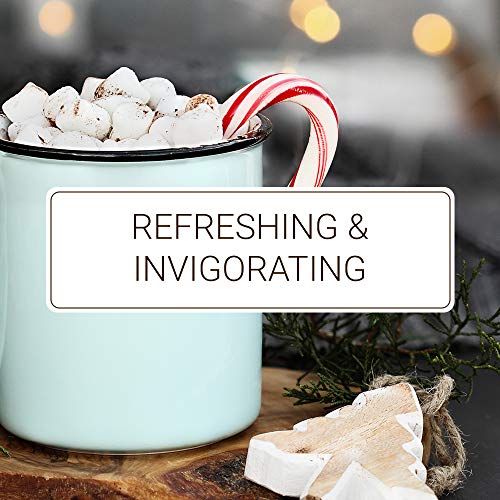 Monin Peppermint Syrup, Cool Mint Flavored Syrup, Coffee Syrup