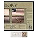History of Old Glory Unframed Art Poster | American Flag Wall Art Decor | USA Patriot Poster for America Enthusiast & Vintage Artwork Collectors | Star Spangled Banner | 11 3/4 x 36 inches