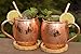 Copper Mules Moscow Mule Copper Mugs Set of 2 Handcrafted - Classic Riveted Handles – Holds 16oz
