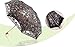 MiiHome Ladies Umbrella Lace Parasol Folding Umbrella Sun Shade Anti-uv (Black)